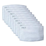 PM2.5 Activated Carbon Filters (10-Pack)